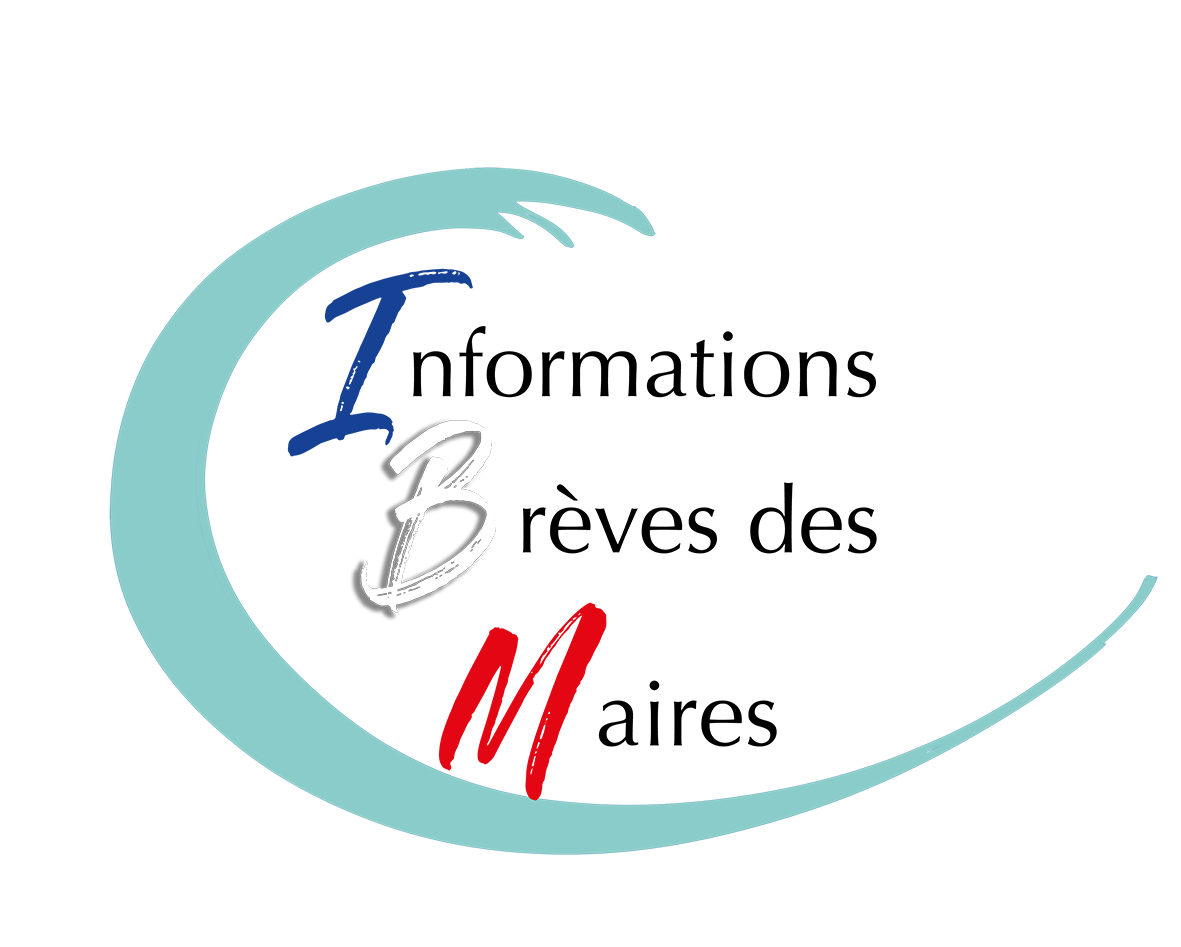 logoibmdefinitif-small